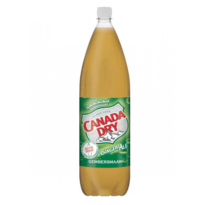 Canada Dry Ginger Ale Bouteille 1,5 L